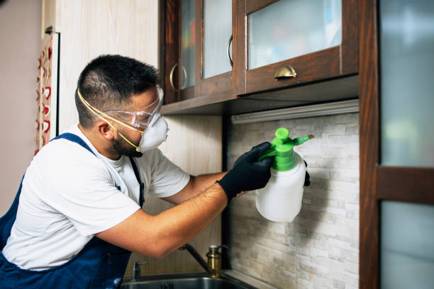 Best Bed Bug Extermination  in Gardende, AL