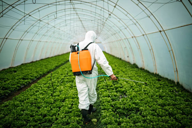 Best Pest Inspection Near Me  in Gardende, AL