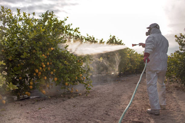 Best Emergency Pest Control  in Gardende, AL