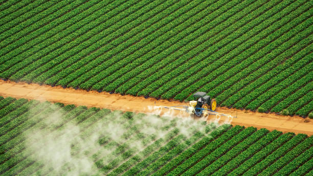 Best Ant Control Services  in Gardende, AL