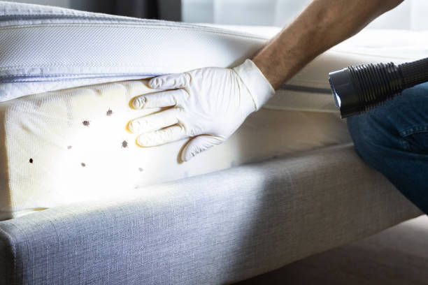 Best Residential Pest Control  in Gardende, AL