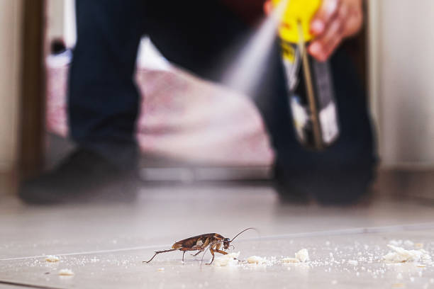 Best Pest Removal Services  in Gardende, AL