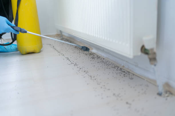 Wasp Removal Services in Gardendale, AL
