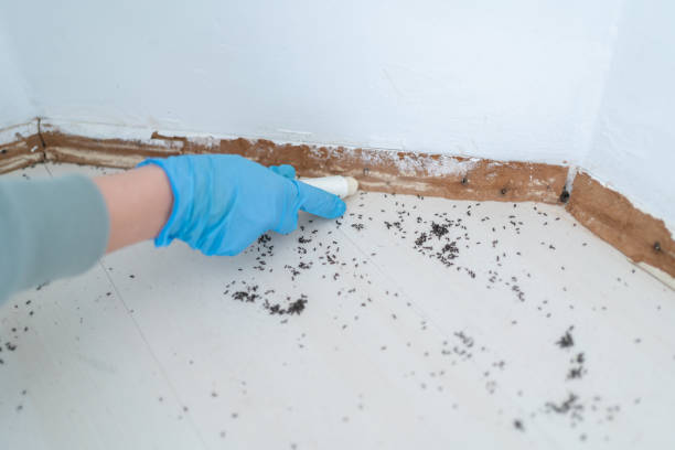 Best Exterminator Services  in Gardende, AL