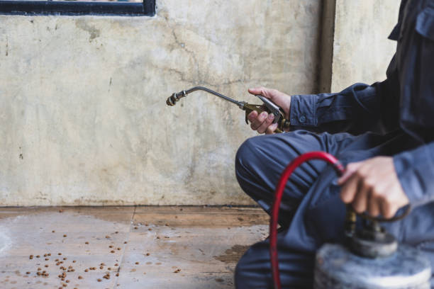 Best Pest Prevention Services  in Gardende, AL